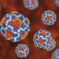 Understanding the Hepatitis A Vaccine