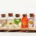 Essential Oils: A Natural Remedy for Herpes Virus Treatments