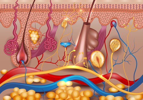 Bacterial Infections: An Overview